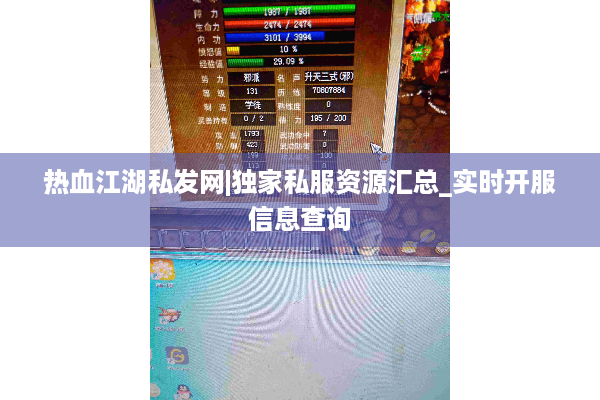 热血江湖私发网|独家私服资源汇总_实时开服信息查询
