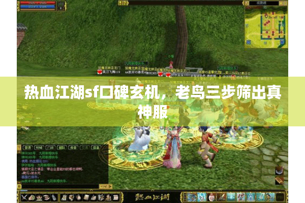 热血江湖sf口碑玄机，老鸟三步筛出真神服