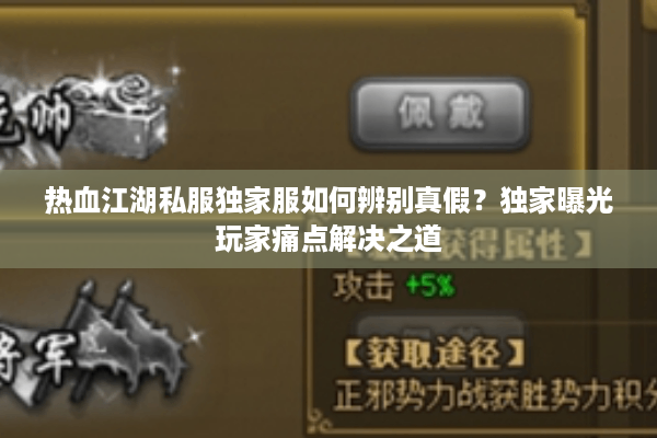 热血江湖私服独家服如何辨别真假？独家曝光玩家痛点解决之道