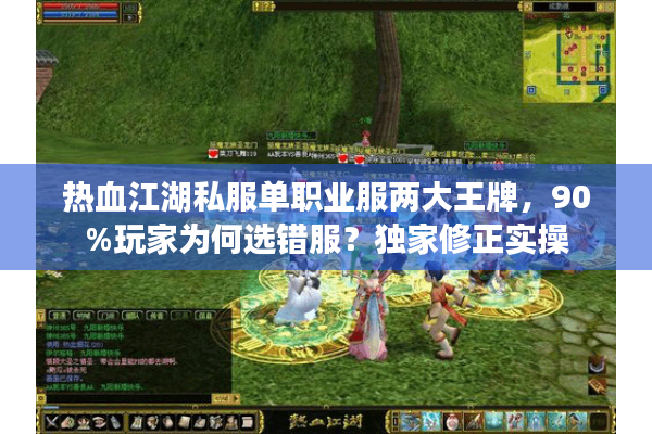 热血江湖私服单职业服两大王牌，90%玩家为何选错服？独家修正实操