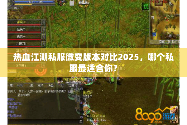 热血江湖私服微变版本对比2025，哪个私服最适合你？