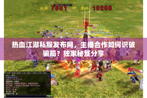 热血江湖私服发布网，主播合作如何识破骗局？独家秘笈分享