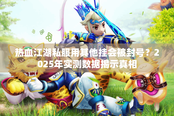 热血江湖私服用其他挂会被封号？2025年实测数据揭示真相