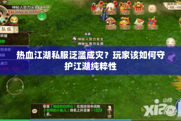 热血江湖私服泛滥成灾？玩家该如何守护江湖纯粹性