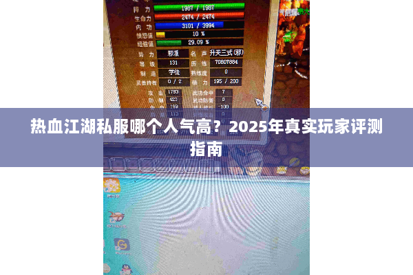 热血江湖私服哪个人气高？2025年真实玩家评测指南