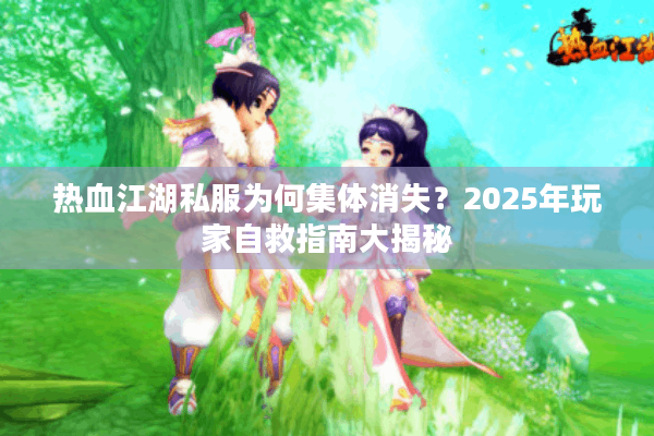 热血江湖私服为何集体消失?2025年玩家自救指南大揭秘 热血江湖私服为何集体消失?2025年玩家自救指南大揭秘