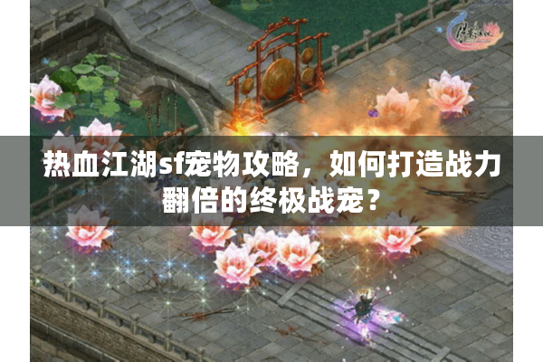 热血江湖sf宠物攻略,如何打造战力翻倍的终极战宠? 热血江湖sf宠物攻略,如何打造战力翻倍的终极战宠?