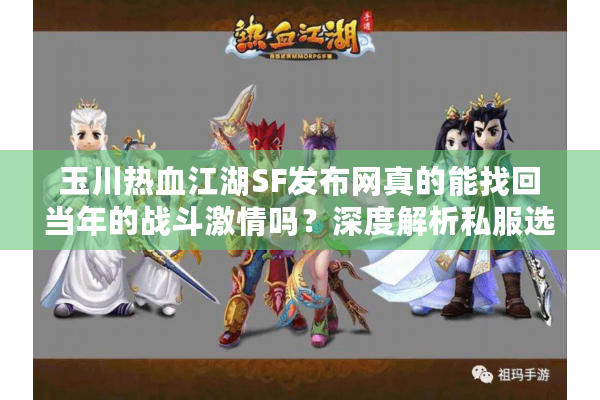 玉川热血江湖SF发布网真的能找回当年的战斗激情吗？深度解析私服选择技巧