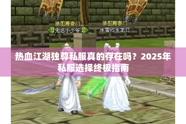 热血江湖独尊私服真的存在吗？2025年私服选择终极指南