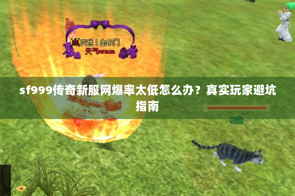 sf999传奇新服网爆率太低怎么办？真实玩家避坑指南