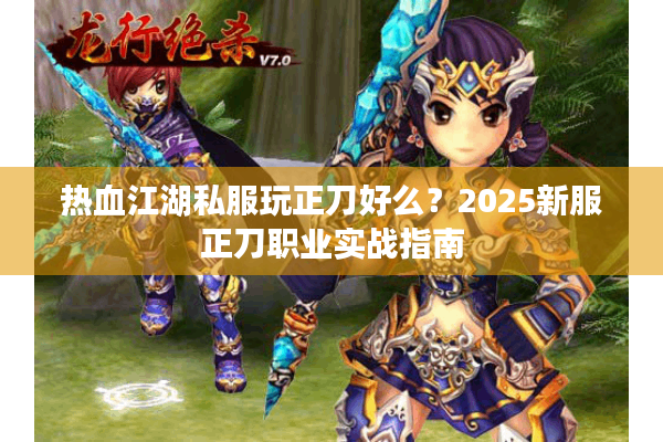 热血江湖私服玩正刀好么？2025新服正刀职业实战指南
